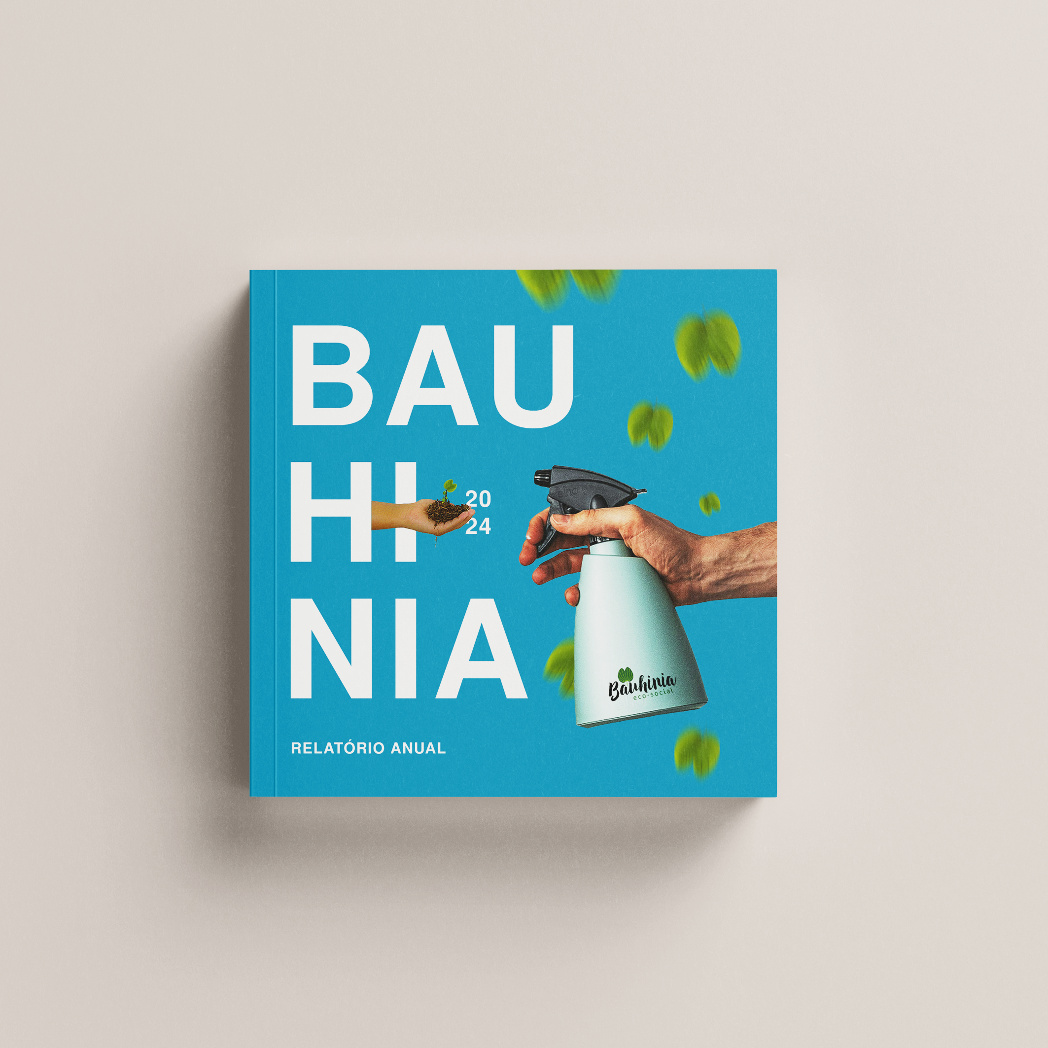 Capa do Relatório Bauhinia